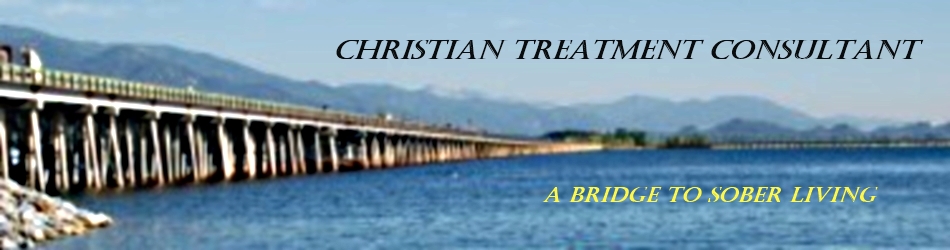 Christian Treatment Consultant